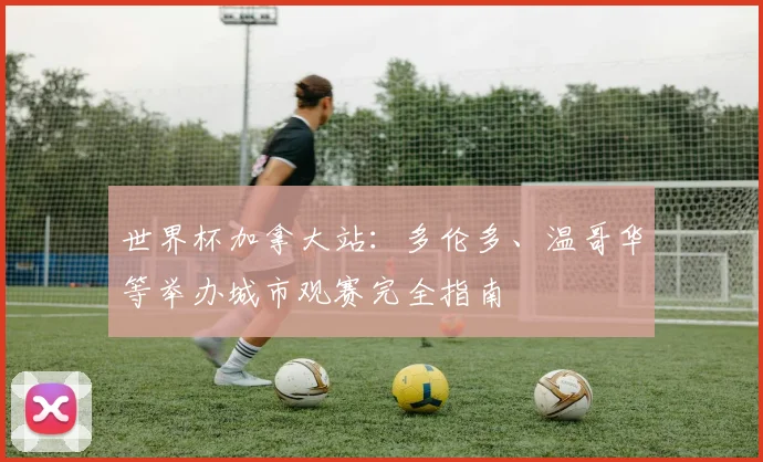 世界杯加拿大站：多伦多、温哥华等举办城市观赛完全指南